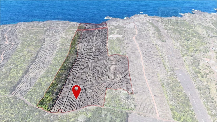 Terreno para Venda em Candelaria Foto 2