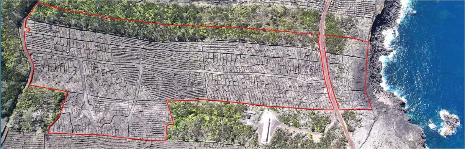 Terreno para Venda em Candelaria Foto 3