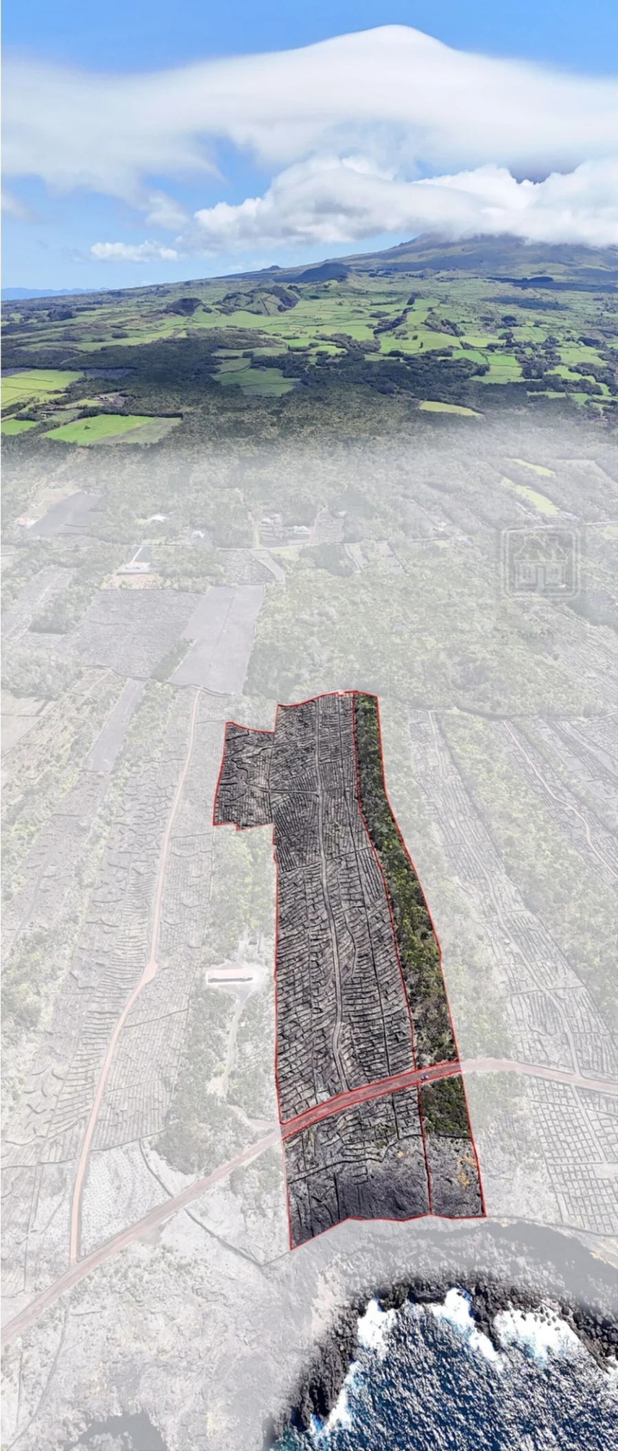 Terreno para Venda em Candelaria Foto 5