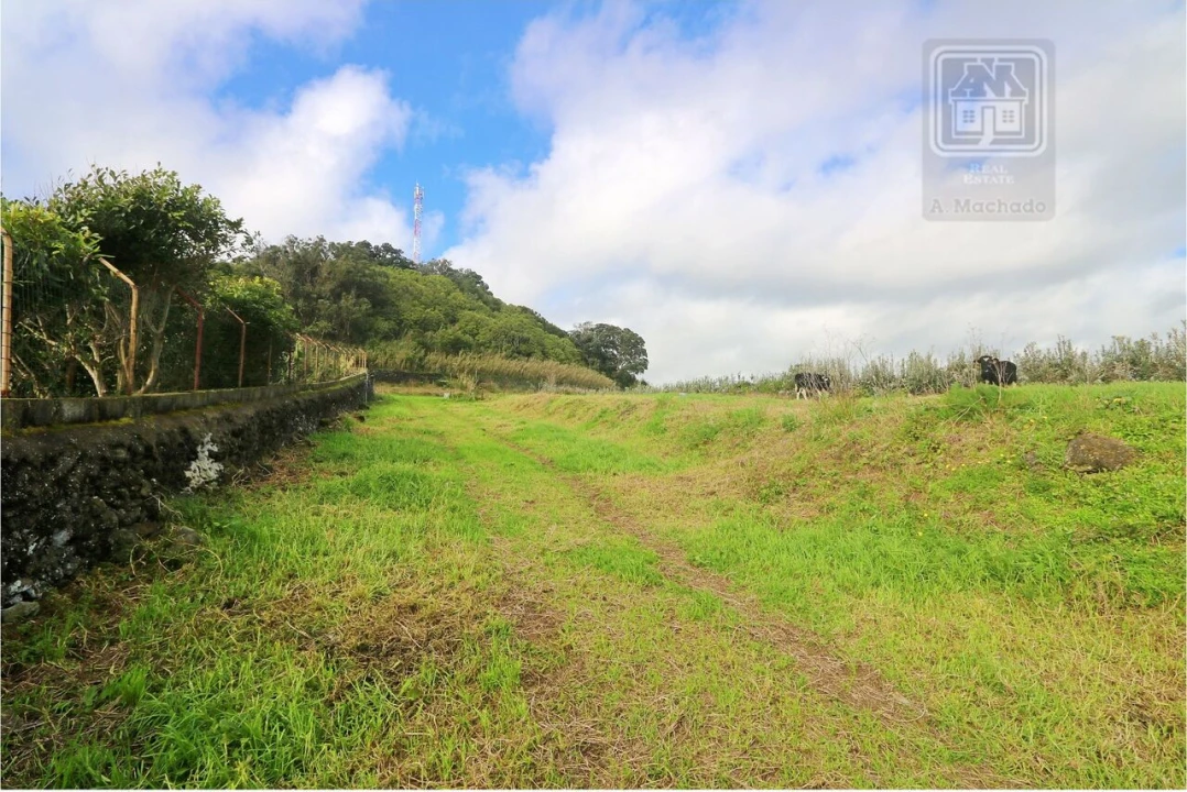 Terreno para Venda em Rosto do Cão (São Roque) Foto 8