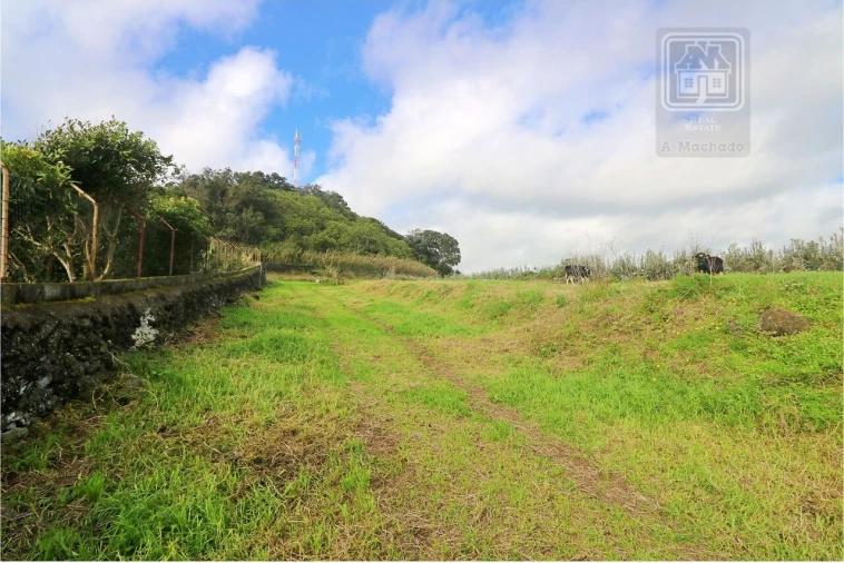 Terreno para Venda em Rosto do Cão (São Roque) Foto 8