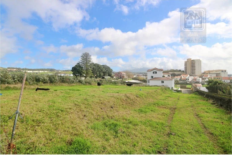 Terreno para Venda em Rosto do Cão (São Roque) Foto 10