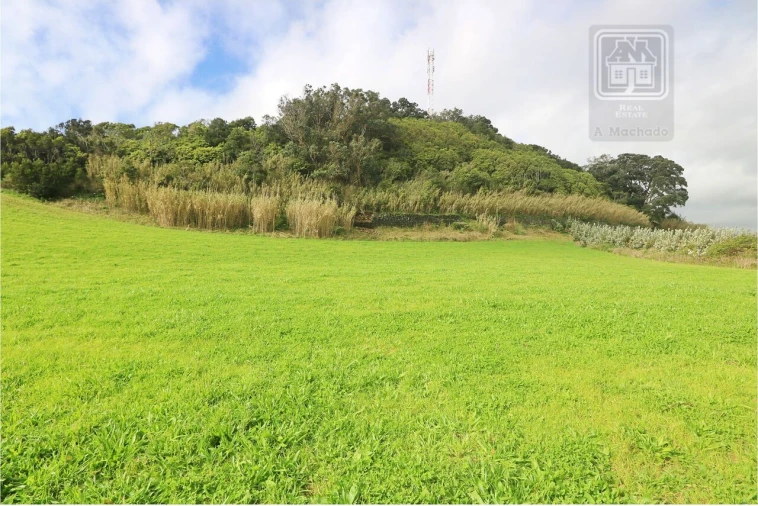 Terreno para Venda em Rosto do Cão (São Roque) Foto 12