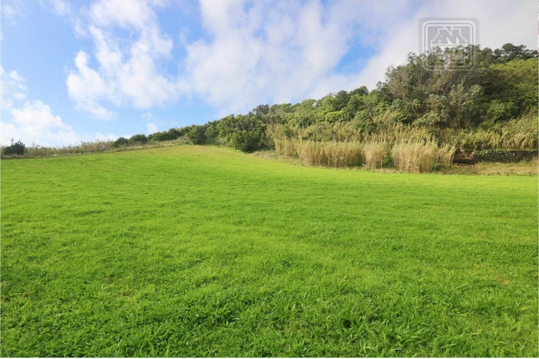 Terreno para Venda em Rosto do Cão (São Roque) Foto 13