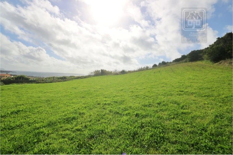 Terreno para Venda em Rosto do Cão (São Roque) Foto 16