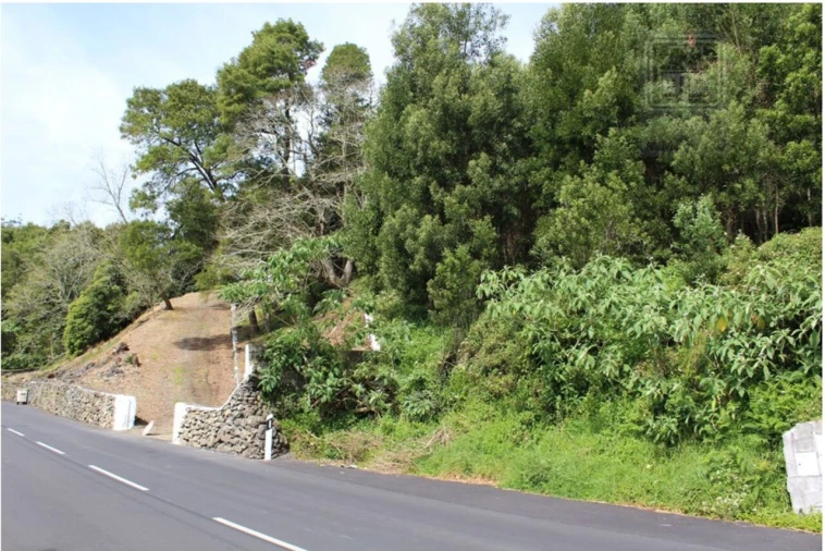 Terreno para Venda em Terra Chã Foto 4