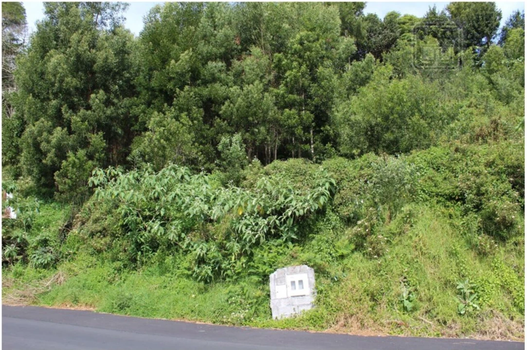 Terreno para Venda em Terra Chã Foto 5