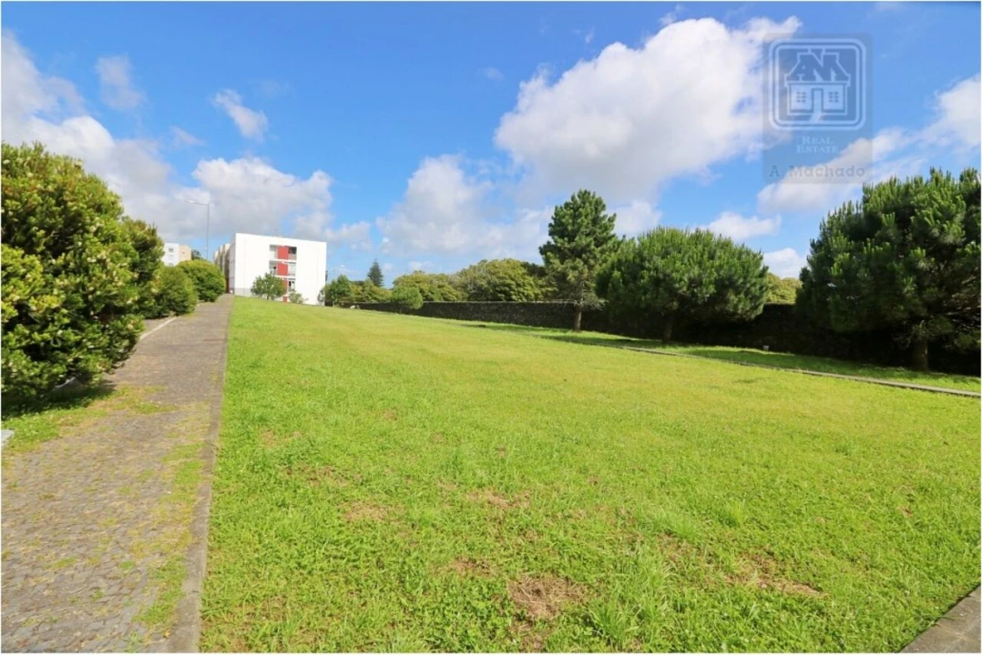Terreno para Venda em Rosto do Cão (Livramento) Foto 8