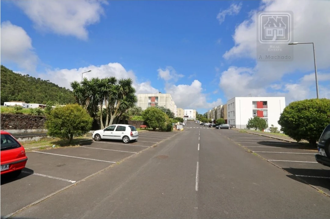 Terreno para Venda em Rosto do Cão (Livramento) Foto 13