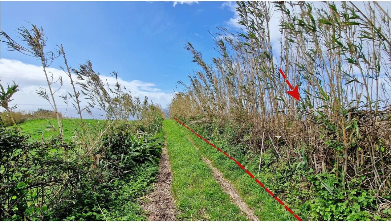 Terreno para Venda em Feteiras Foto 26