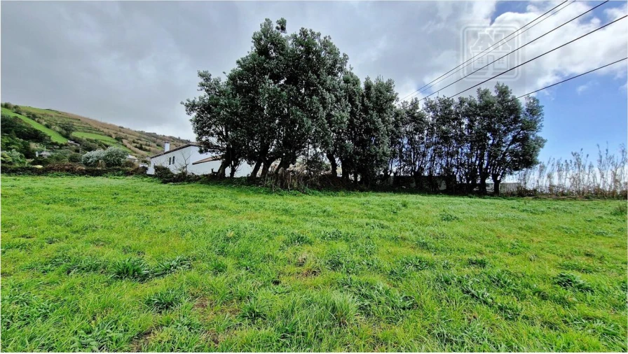 Terreno para Venda em Feteiras Foto 12