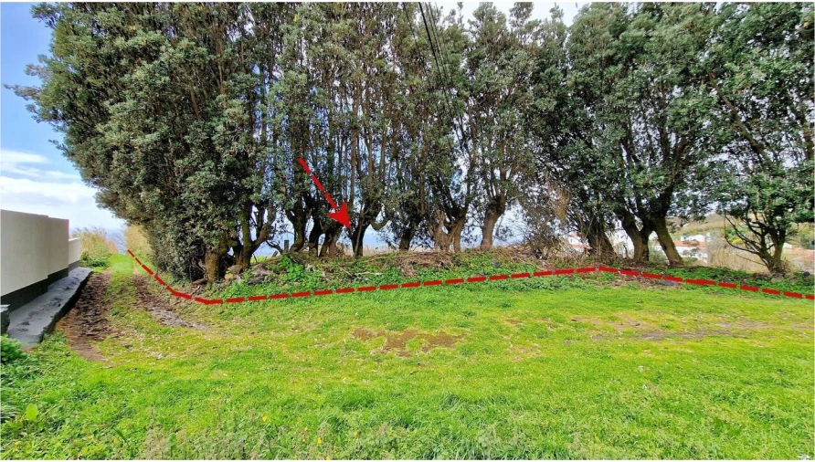 Terreno para Venda em Feteiras Foto 24