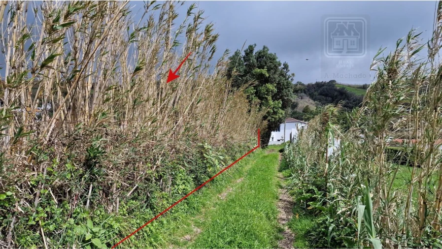 Terreno para Venda em Feteiras Foto 28