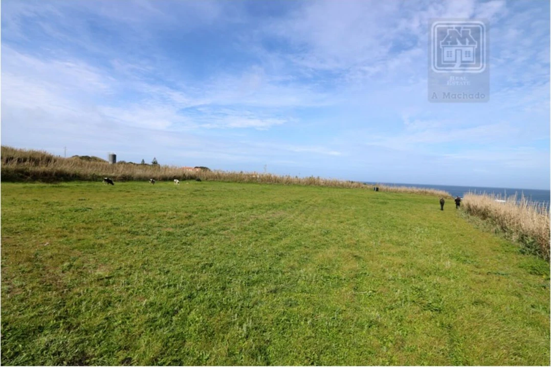 Terreno para Venda em Mosteiros Foto 13