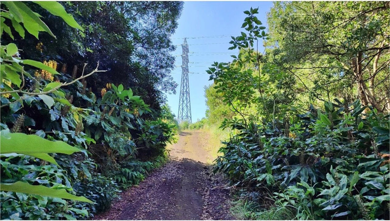 Terreno para Venda em Pico da Pedra Foto 7