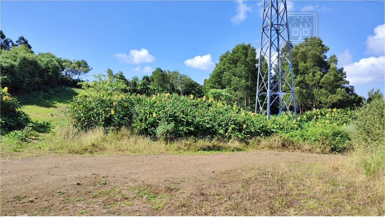 Terreno para Venda em Pico da Pedra Foto 11