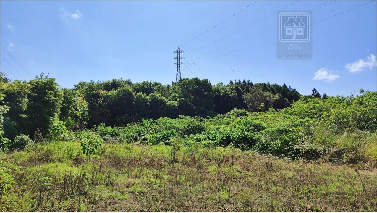 Terreno para Venda em Pico da Pedra Foto 15