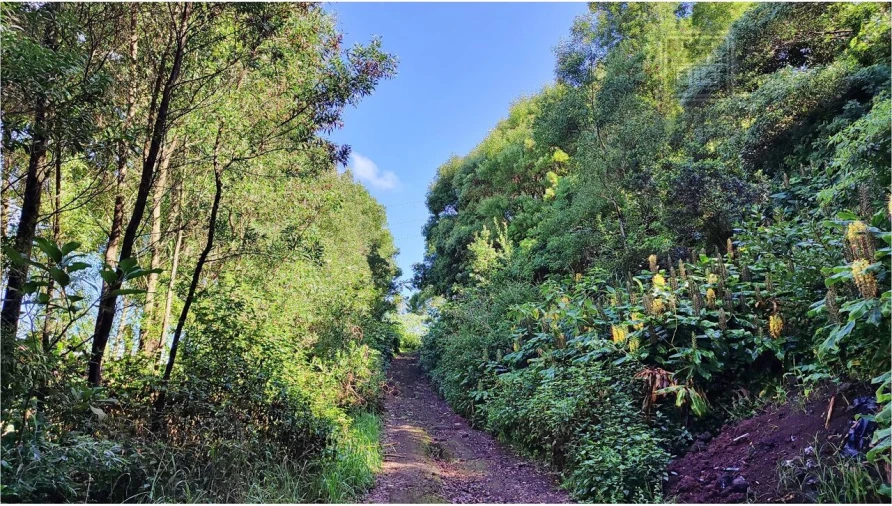 Terreno para Venda em Pico da Pedra Foto 6