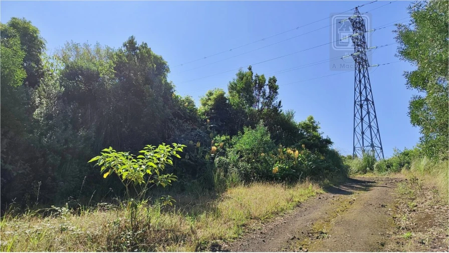 Terreno para Venda em Pico da Pedra Foto 8