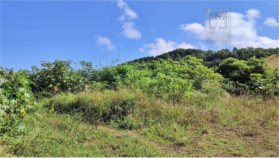 Terreno para Venda em Pico da Pedra Foto 13