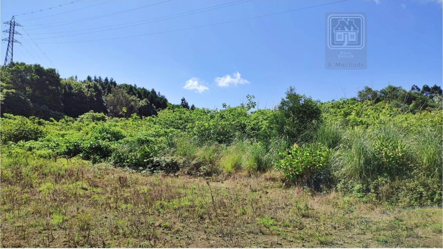 Terreno para Venda em Pico da Pedra Foto 17