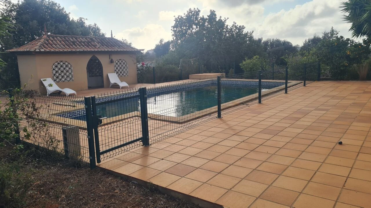 Quinta T5 para Venda em Guia Foto 19