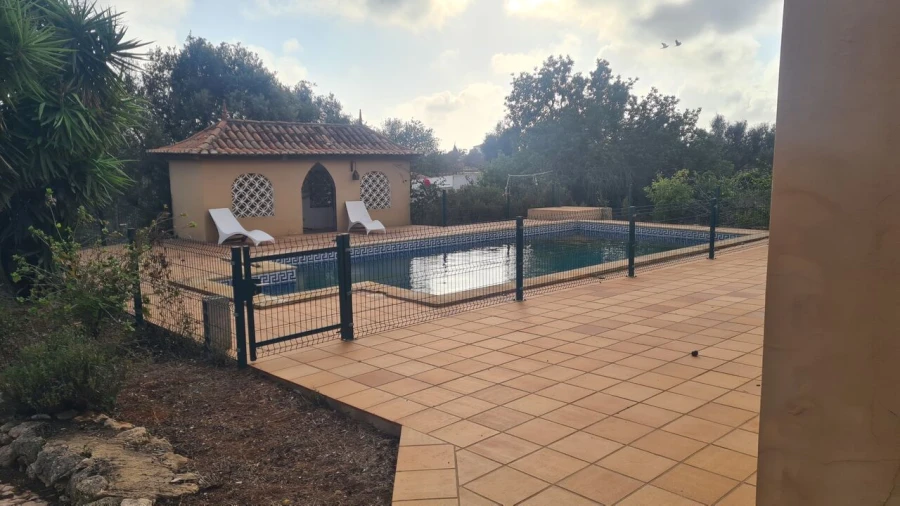 Quinta T5 para Venda em Guia Foto 2