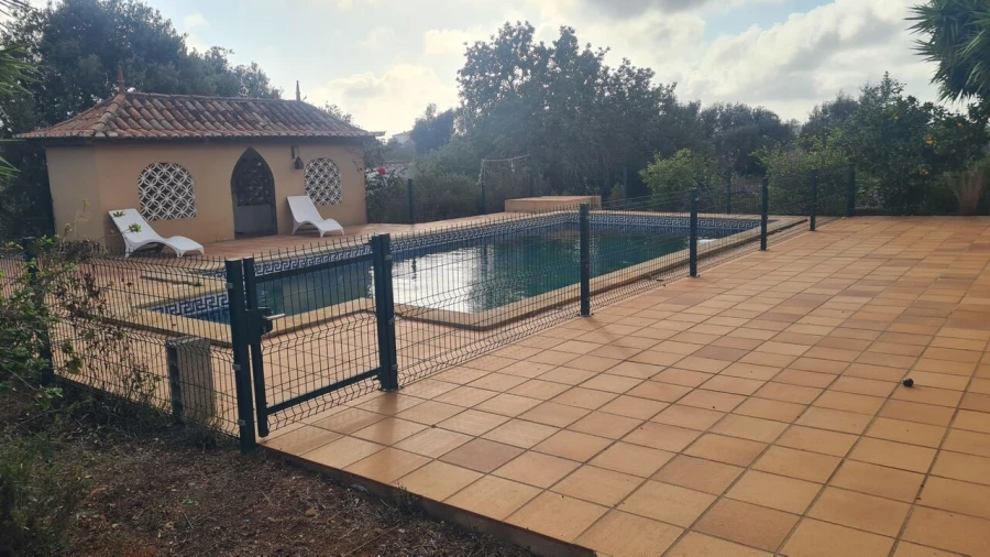 Quinta T5 para Venda em Guia Foto 19