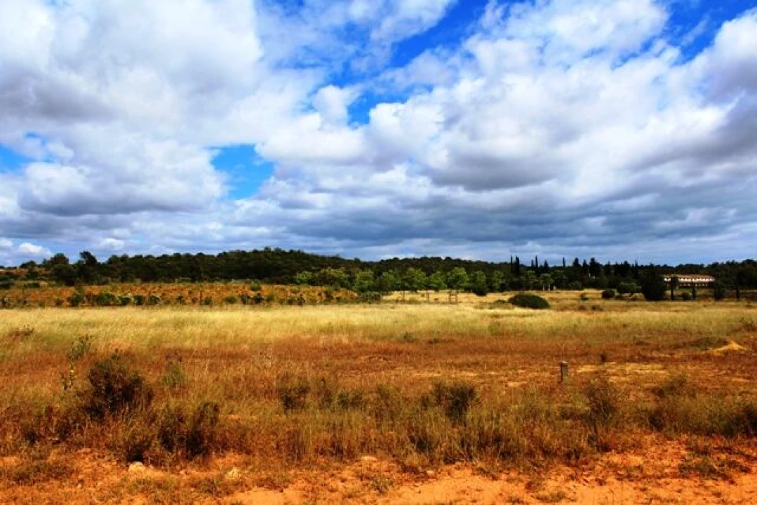 Terreno para Venda em Algoz e Tunes Foto 3