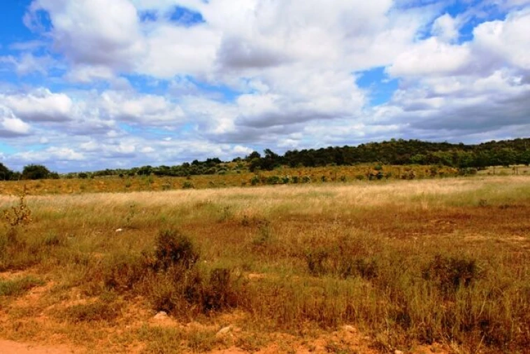 Terreno para Venda em Algoz e Tunes Foto 4