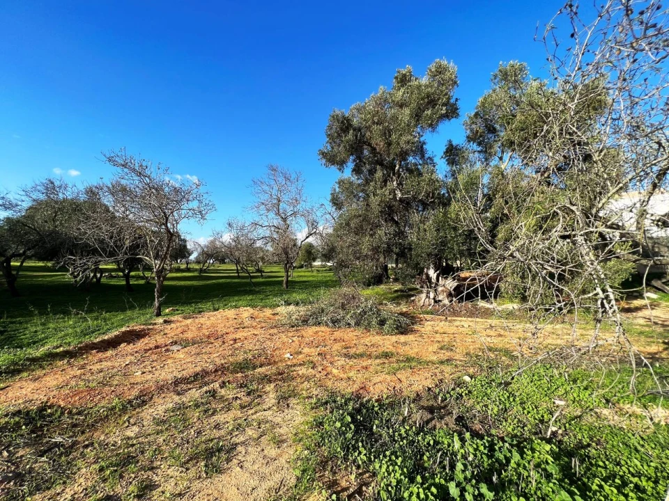 Terreno para Venda em Albufeira e Olhos de Água Foto 1