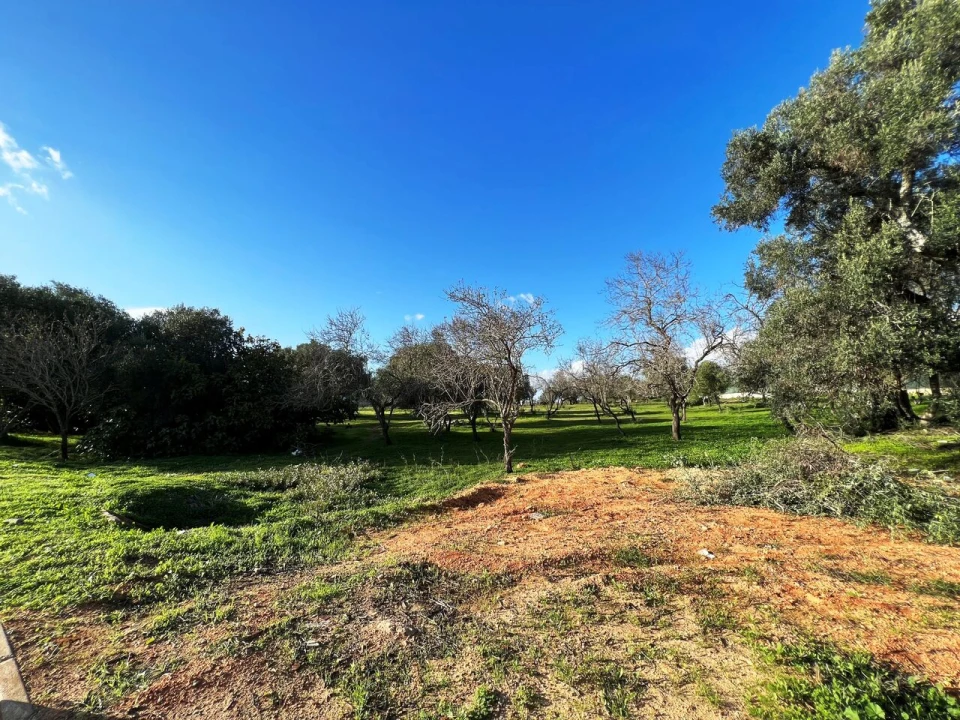Terreno para Venda em Albufeira e Olhos de Água Foto 2