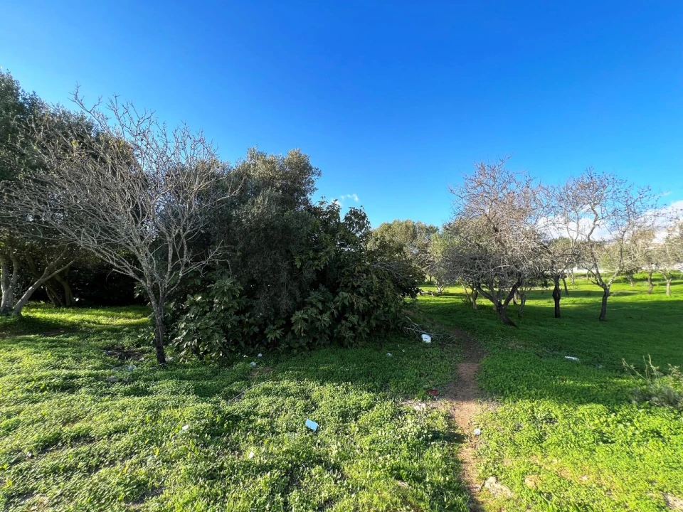 Terreno para Venda em Albufeira e Olhos de Água Foto 5