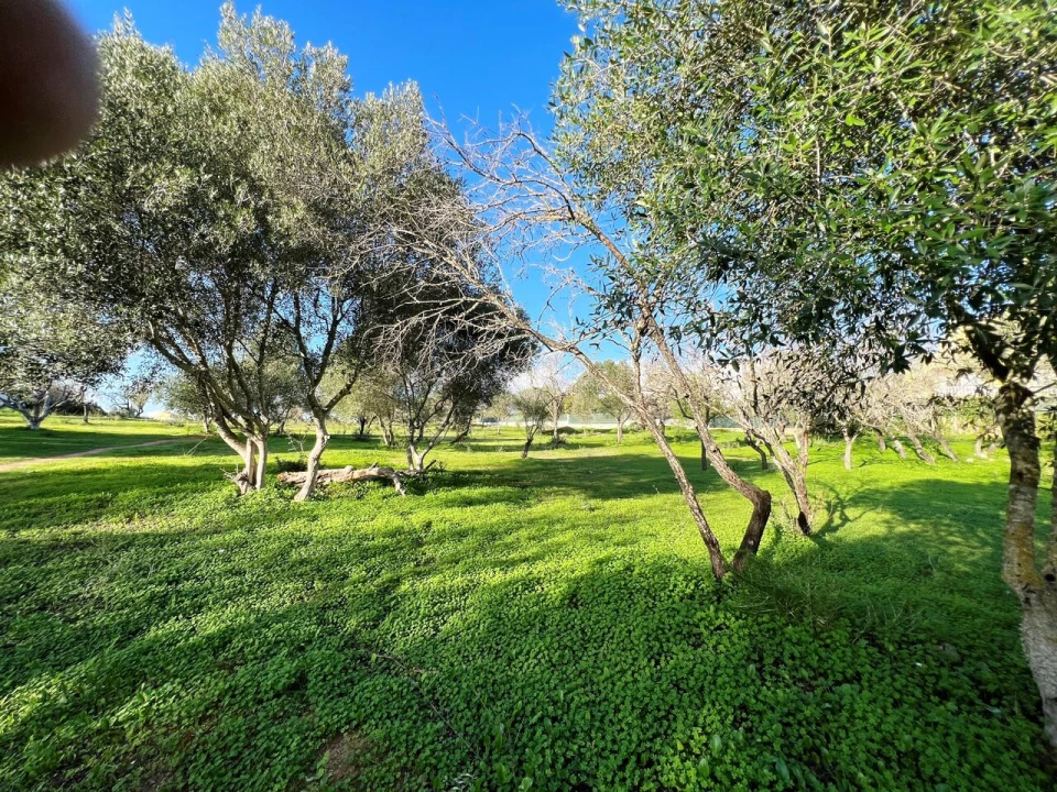 Terreno para Venda em Albufeira e Olhos de Água Foto 8