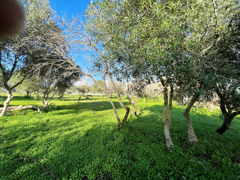 Terreno para Venda em Albufeira e Olhos de Água Foto 10