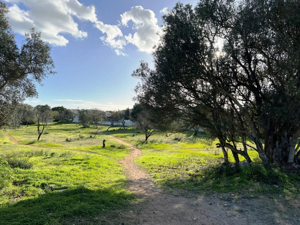 Terreno para Venda em Albufeira e Olhos de Água Foto 13