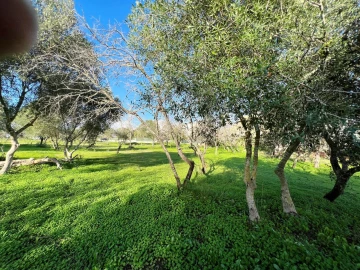 Terreno para Venda em Albufeira e Olhos de Água