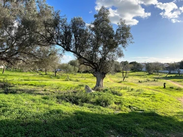 Terreno para Venda em Albufeira e Olhos de Água