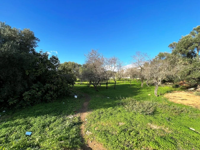 Terreno para Venda em Albufeira e Olhos de Água Foto 4