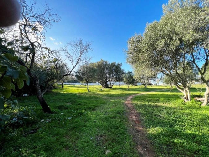 Terreno para Venda em Albufeira e Olhos de Água Foto 6
