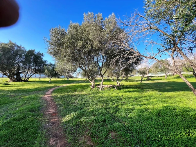 Terreno para Venda em Albufeira e Olhos de Água Foto 7