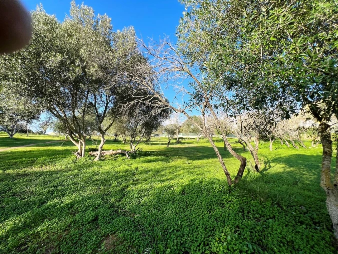 Terreno para Venda em Albufeira e Olhos de Água Foto 8