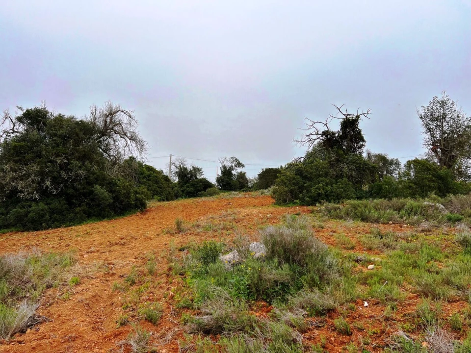 Terreno para Venda em Guia Foto 2