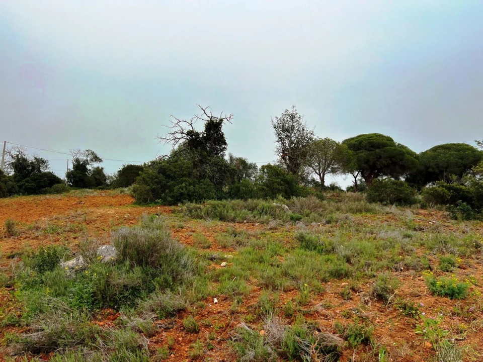 Terreno para Venda em Guia Foto 5