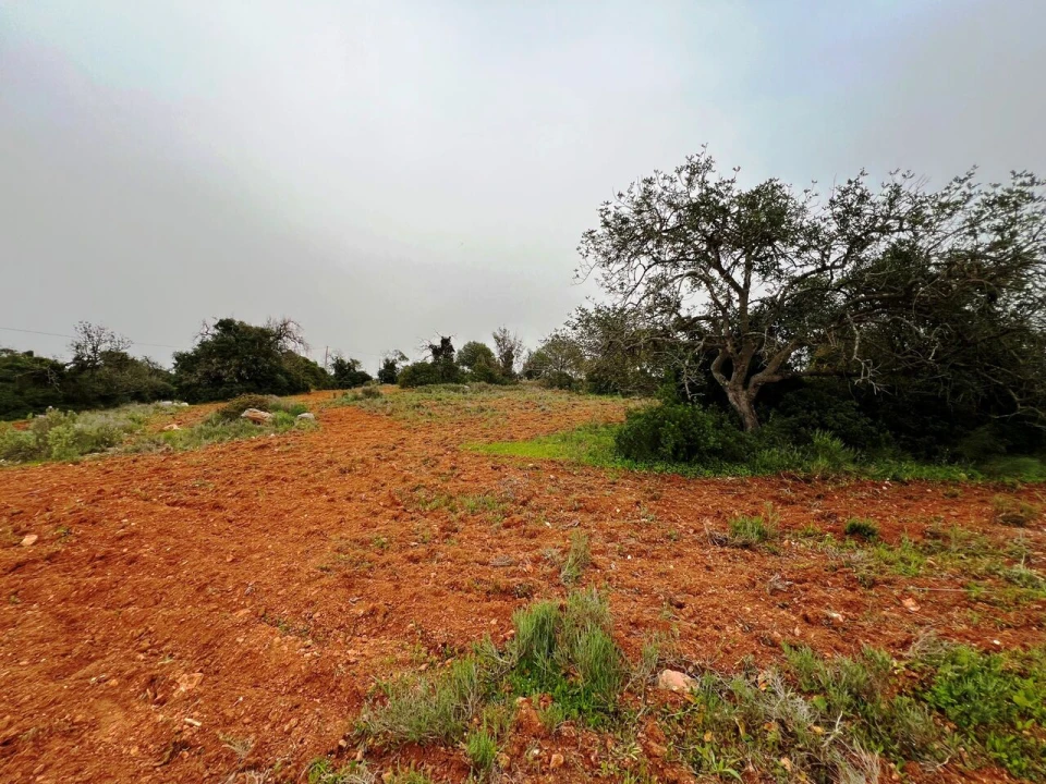 Terreno para Venda em Guia Foto 10