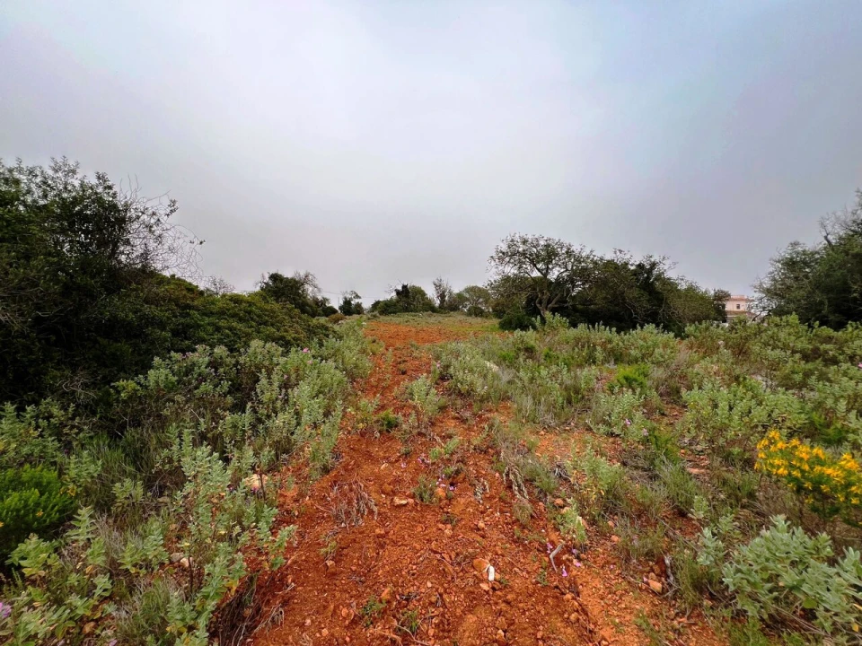 Terreno para Venda em Guia Foto 11