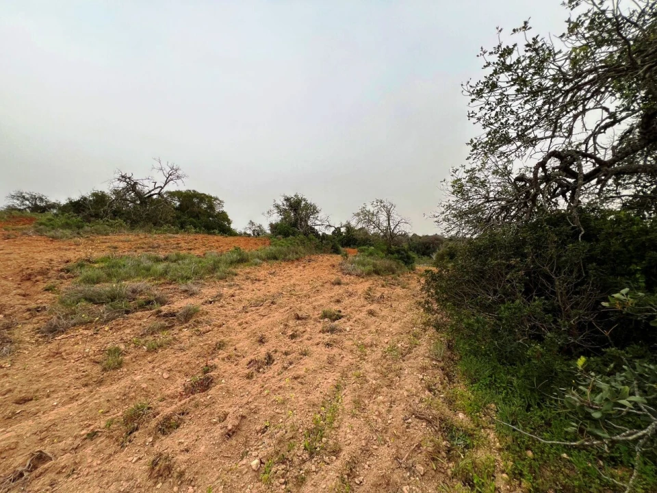 Terreno para Venda em Guia Foto 15