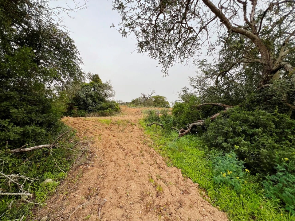 Terreno para Venda em Guia Foto 16