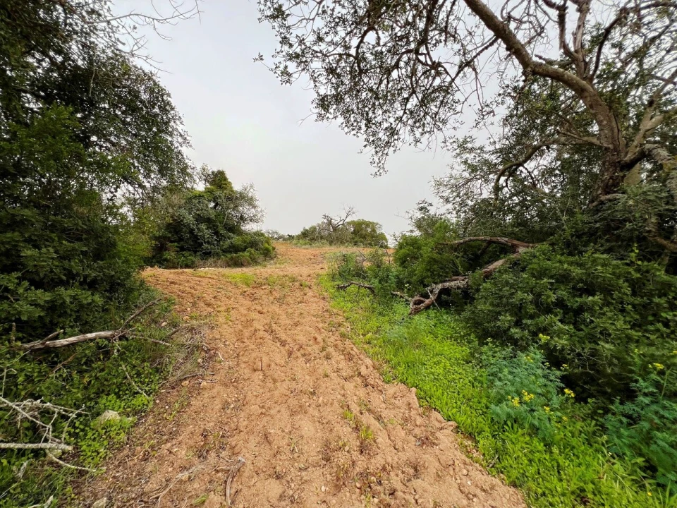 Terreno para Venda em Guia Foto 17