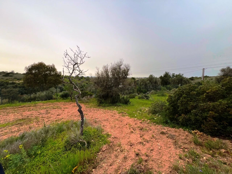 Terreno para Venda em Guia Foto 18